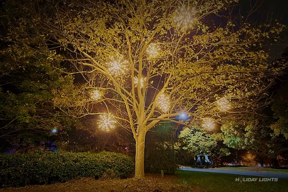 Spritzers Decoration Tree Holiday - Trees Christmas lights installation in Massachusetts