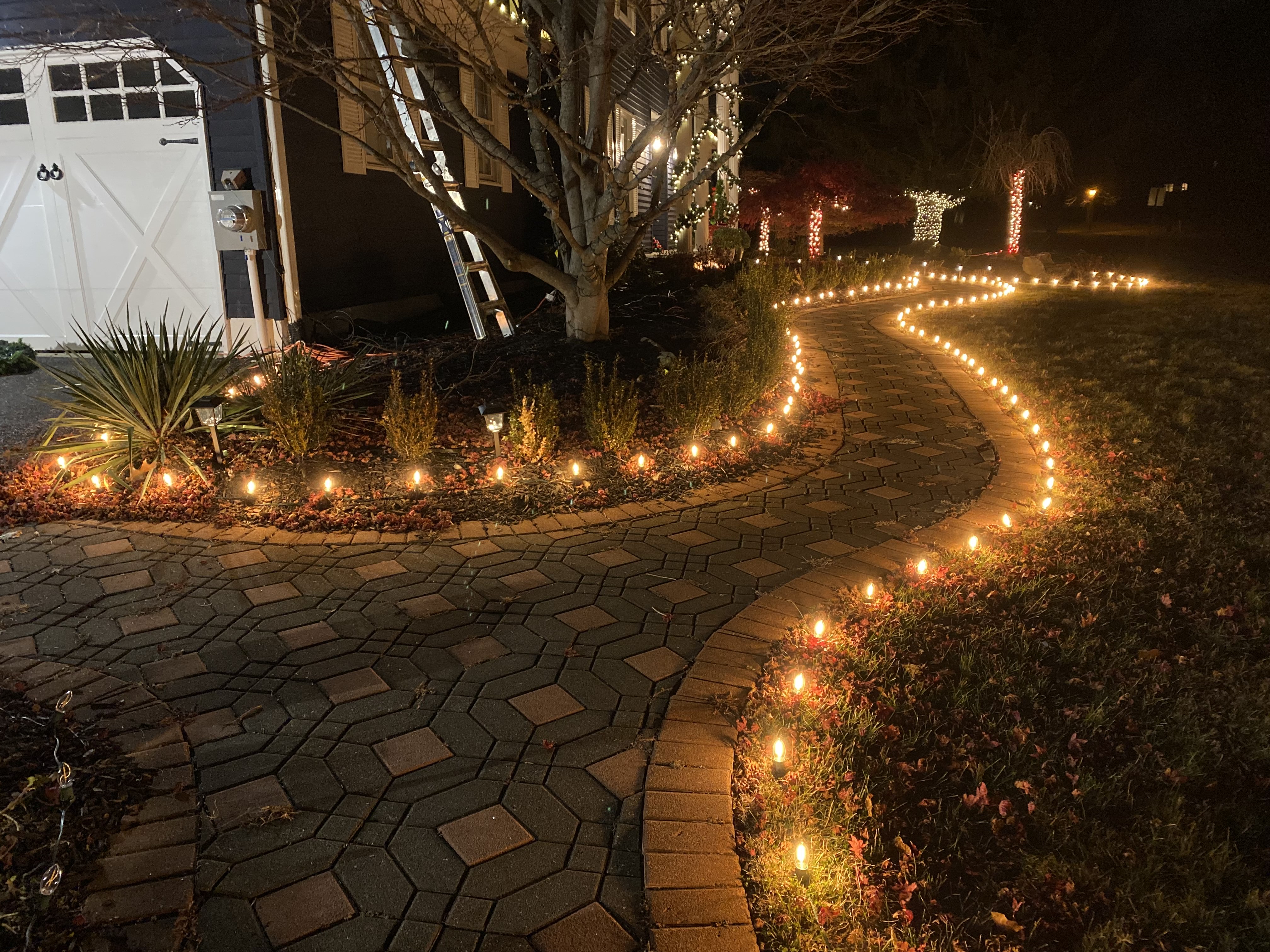 Driveway and pathway Christmas lighting in Newton, MA